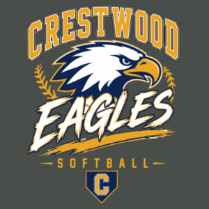 Crestwood Eagles Softball Design 7 (Front & Back Print) on a - Club Fleece Sleeve Swoosh Pullover Hoodie Design
